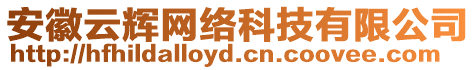 安徽云輝網(wǎng)絡(luò)科技有限公司