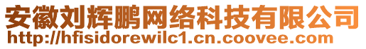 安徽劉輝鵬網(wǎng)絡(luò)科技有限公司