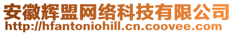 安徽輝盟網絡科技有限公司