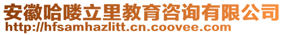 安徽哈嘍立里教育咨詢(xún)有限公司