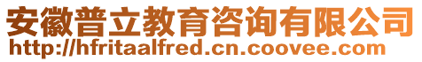 安徽普立教育咨詢有限公司