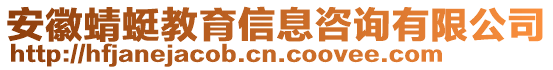 安徽蜻蜓教育信息咨詢有限公司