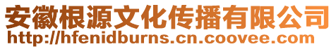 安徽根源文化傳播有限公司