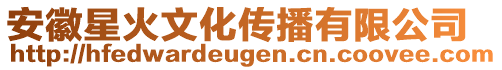 安徽星火文化傳播有限公司