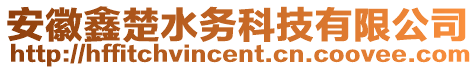 安徽鑫楚水務(wù)科技有限公司