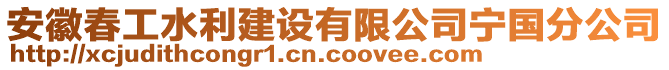 安徽春工水利建設(shè)有限公司寧國分公司