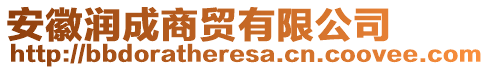 安徽潤成商貿(mào)有限公司