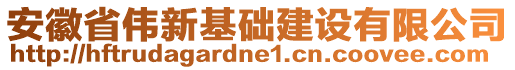 安徽省偉新基礎(chǔ)建設(shè)有限公司