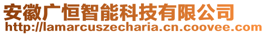 安徽廣恒智能科技有限公司