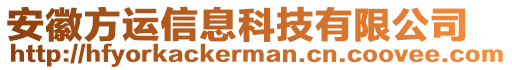 安徽方運(yùn)信息科技有限公司