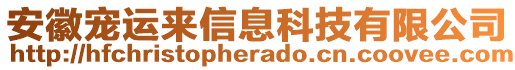 安徽寵運(yùn)來信息科技有限公司