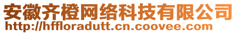 安徽齊橙網(wǎng)絡(luò)科技有限公司