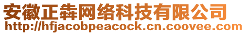 安徽正犇網(wǎng)絡(luò)科技有限公司