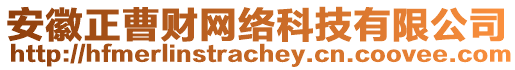 安徽正曹財(cái)網(wǎng)絡(luò)科技有限公司