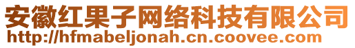 安徽紅果子網(wǎng)絡(luò)科技有限公司