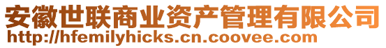 安徽世聯(lián)商業(yè)資產(chǎn)管理有限公司