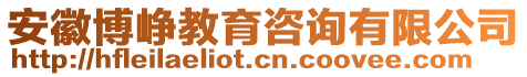 安徽博峥教育咨询有限公司