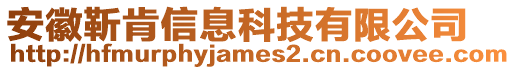 安徽靳肯信息科技有限公司