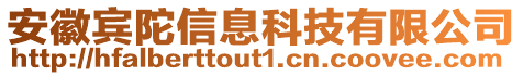 安徽賓陀信息科技有限公司