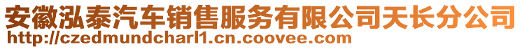 安徽泓泰汽車銷售服務(wù)有限公司天長分公司