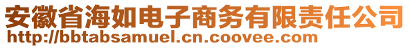 安徽省海如電子商務有限責任公司