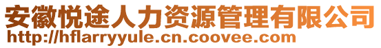 安徽悅途人力資源管理有限公司