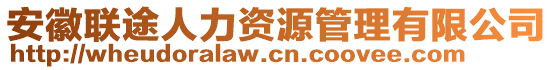 安徽聯(lián)途人力資源管理有限公司