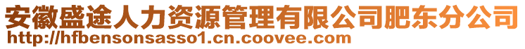 安徽盛途人力資源管理有限公司肥東分公司