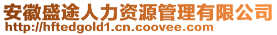 安徽盛途人力資源管理有限公司