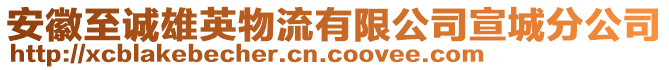 安徽至誠雄英物流有限公司宣城分公司