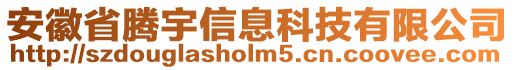 安徽省騰宇信息科技有限公司