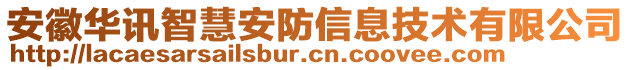 安徽華訊智慧安防信息技術(shù)有限公司