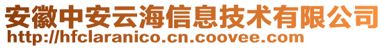 安徽中安云海信息技術(shù)有限公司