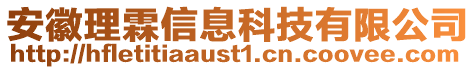 安徽理霖信息科技有限公司