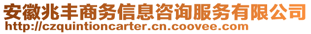 安徽兆豐商務信息咨詢服務有限公司