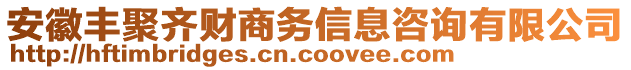 安徽豐聚齊財商務(wù)信息咨詢有限公司