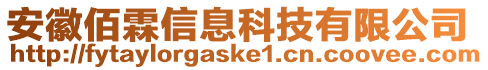 安徽佰霖信息科技有限公司