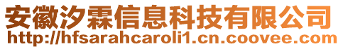 安徽汐霖信息科技有限公司