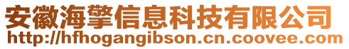 安徽海擎信息科技有限公司