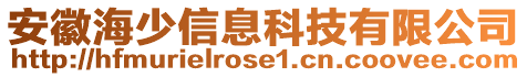 安徽海少信息科技有限公司