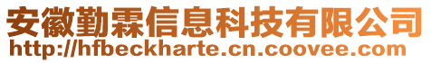 安徽勤霖信息科技有限公司