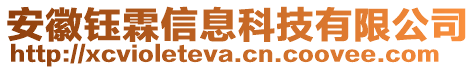 安徽鈺霖信息科技有限公司