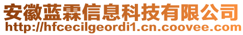 安徽藍(lán)霖信息科技有限公司