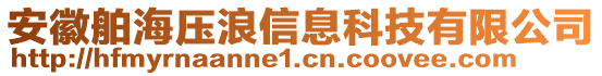 安徽舶海壓浪信息科技有限公司