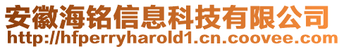 安徽海銘信息科技有限公司