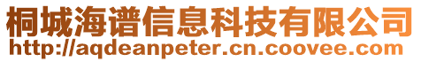 桐城海譜信息科技有限公司