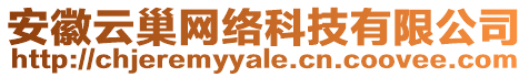 安徽云巢網(wǎng)絡(luò)科技有限公司