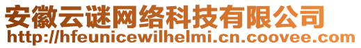 安徽云謎網(wǎng)絡(luò)科技有限公司