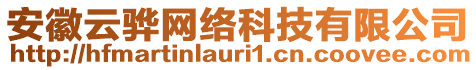 安徽云驊網(wǎng)絡(luò)科技有限公司