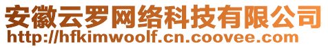 安徽云羅網(wǎng)絡(luò)科技有限公司